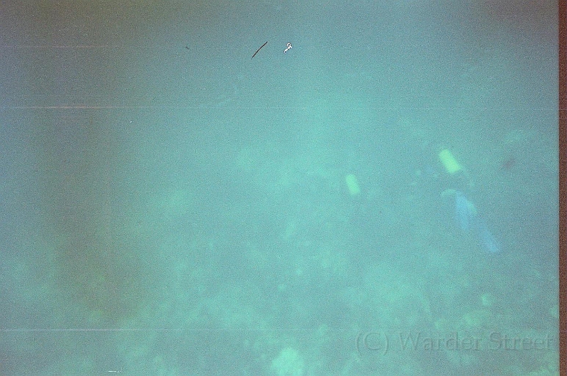 Taylor Scuba Diving 09.jpg